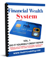Do It Yourself Financial Credit System - Curtis G Martin